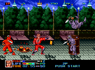 Ninja Combat